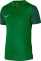 Nike Μπλούζα Nike Trophy V JSY DR0933 302
