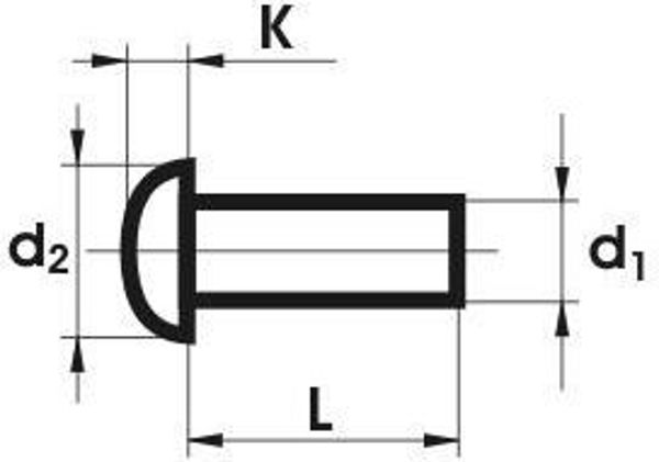 Nitgoz NIT ALUMINIOWY PELNY Z LBEM KULISTYM 6.0*20MM [jm.KG] - 954 6*20 PLK