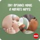 NUK NUK BOTTLE PP 260ML M FOR NATU POP 10742005 1/6 13441864 4008600441151