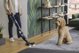 Ηλεκτρική σκούπα Hoover HFX20P