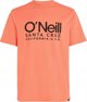 Ανδρικό Κοντομάνικο Μπλουζάκι O Neill CALI T-SHIRT