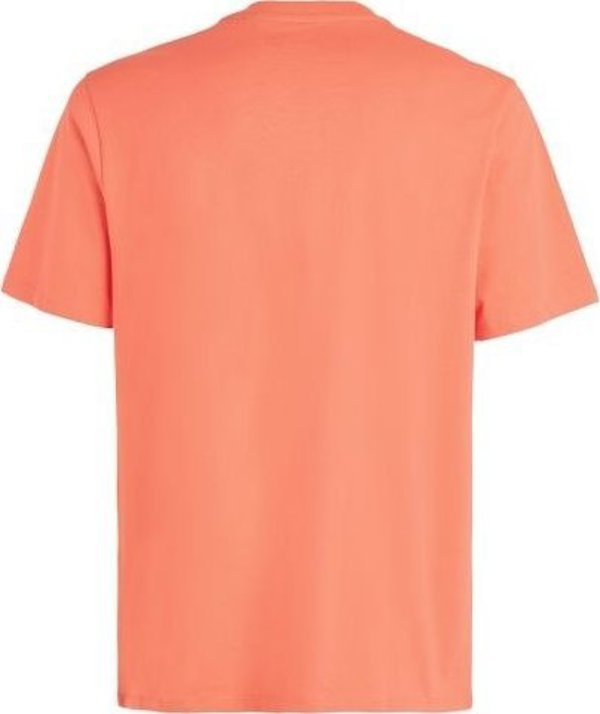 Ανδρικό Κοντομάνικο Μπλουζάκι O Neill CALI T-SHIRT