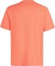 Ανδρικό Κοντομάνικο Μπλουζάκι O Neill CALI T-SHIRT