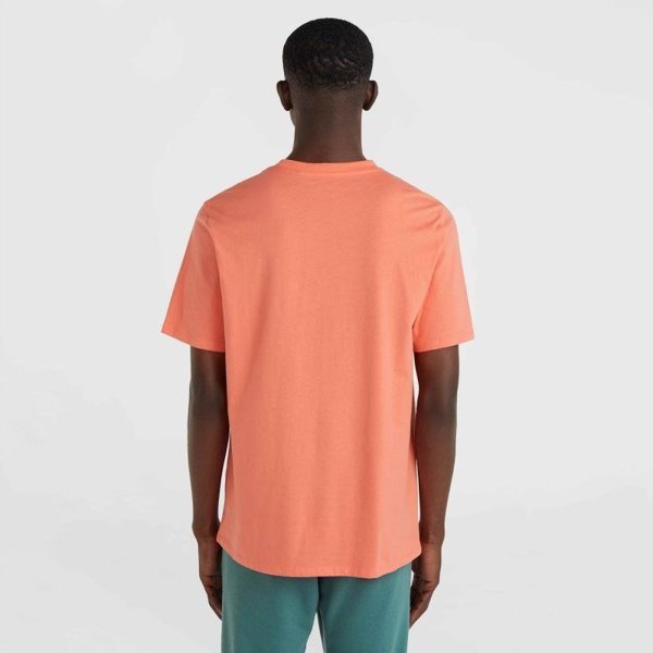 Ανδρικό Κοντομάνικο Μπλουζάκι O Neill CALI T-SHIRT