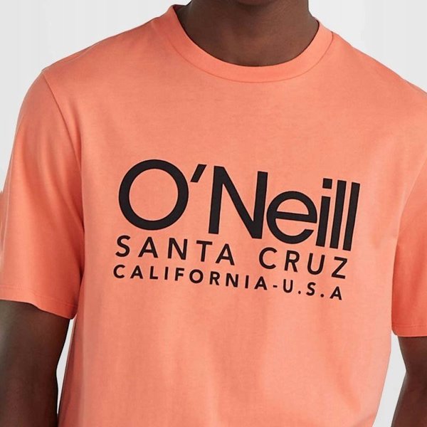 Ανδρικό Κοντομάνικο Μπλουζάκι O Neill CALI T-SHIRT
