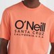 Ανδρικό Κοντομάνικο Μπλουζάκι O Neill CALI T-SHIRT