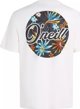 Ανδρικό Κοντομάνικο Μπλουζάκι O Neill O'NEILL BEACH GRAPHIC T-SHIRT