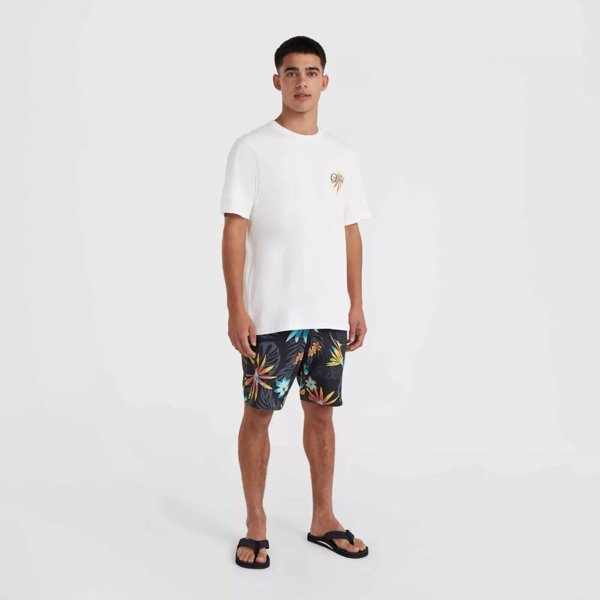 Ανδρικό Κοντομάνικο Μπλουζάκι O Neill O'NEILL BEACH GRAPHIC T-SHIRT