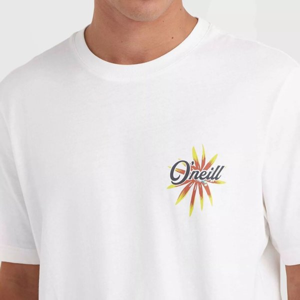 Ανδρικό Κοντομάνικο Μπλουζάκι O Neill O'NEILL BEACH GRAPHIC T-SHIRT