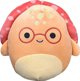 Squishmallows λούτρινο παιχνίδι χελώνα Caine 35cm από την Orbico