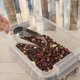 ORION Αλουμινένια κουτάλα 110 ml
