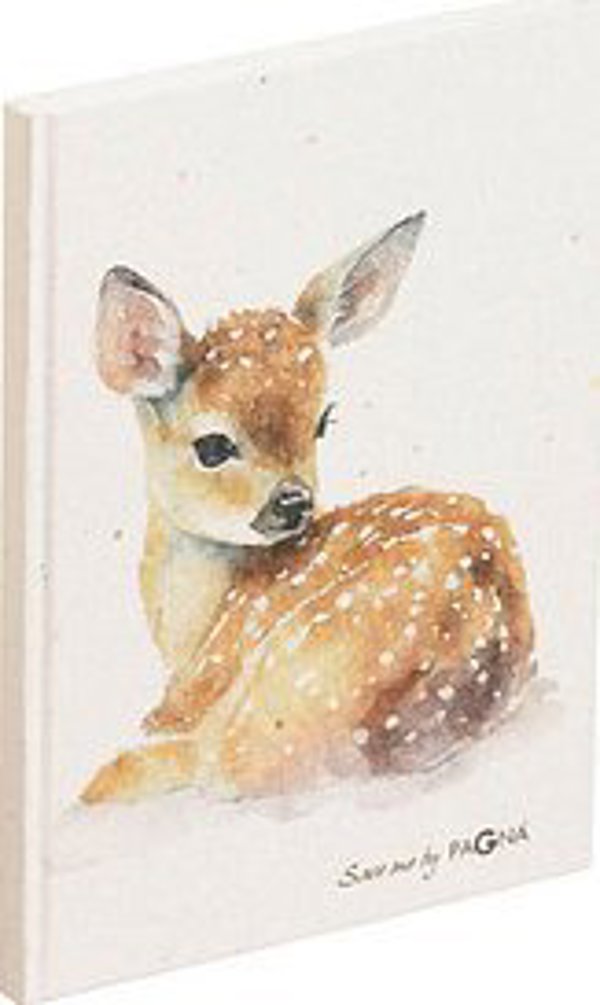 Pagna PAGNA Σημειωματάριο A5 Reh 128S με διακεκομμένες γραμμές