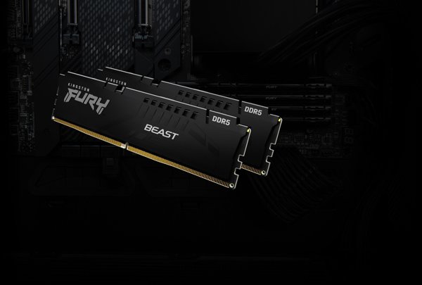 Kingston Technology FURY Beast μονάδα μνήμης 64 GB 1 x 64 GB DDR5