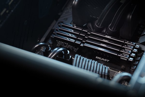 Kingston Technology FURY Beast μονάδα μνήμης 64 GB 1 x 64 GB DDR5
