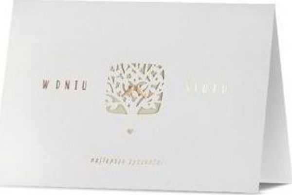 Pan Dragon Κάρτα Γάμου B6 100-919 με Φάκελο