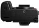 Panasonic Lumix DC-S1R II body