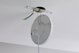 Πάνελ Paulmann Promo LED στρογγυλό 1x12W 1400lm 160mm 230V 3000K Λευκό