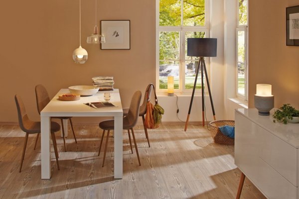 Paulmann Πηγή LED 806lm E27 7W ρυθμιζόμενη toWarm 1800-3000K 230V