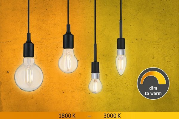 Paulmann Πηγή LED 806lm E27 7W ρυθμιζόμενη toWarm 1800-3000K 230V