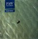 Paw Χαρτοπετσέτες με Πράσινο Σχέδιο, 33x33cm, 20 Τεμάχια