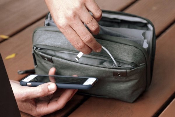 Peak Design Travel Tech Pouch, φασκόμηλο