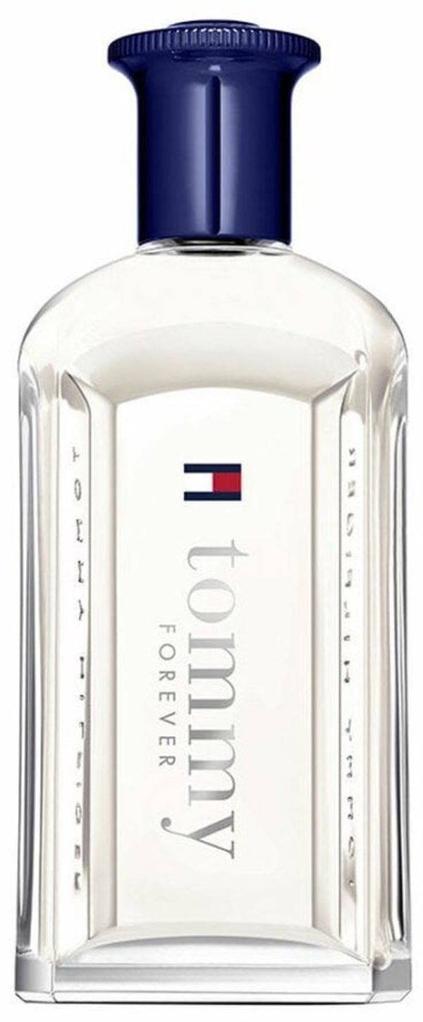 Άρωμα Ανδρικό Tommy Hilfiger TOMMY FOREVER EDT 100 ml