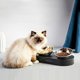 Petkit Fresh Nano Metal Μπολ Φαγητού για Κατοικίδια, Ανοξείδωτο Ατσάλι, 480ml, Μαύρο