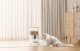 Petsuper Έξυπνος διανομέας τροφής με κάμερα Petsuper PF01-2 WiFi 5L (λευκό)