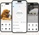 Petsuper Έξυπνος διανομέας τροφής με κάμερα Petsuper PF01-2 WiFi 5L (λευκό)