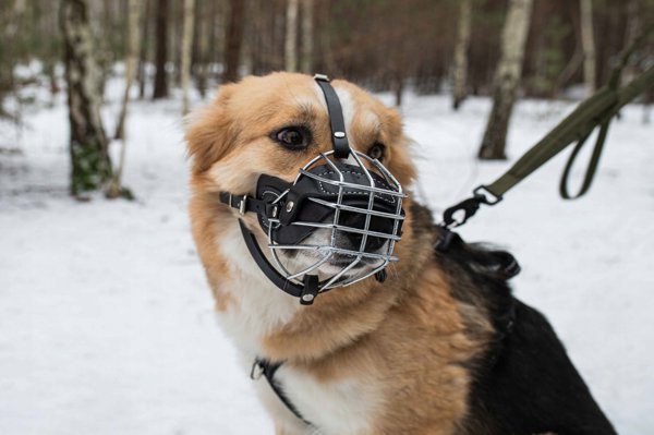 Pet Nova PET NOVA METAL MUZZLE XL