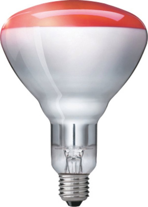 Philips Philips infrared lamp BR125 IR 150W E27 230-250V Red