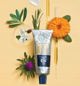 Phyto Nourishment Phyto 7 Nourishing Day Cream 50 ml