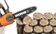 Αλυσοπρίονο WORX WG322E.9 20 V 25 cm