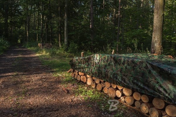 Μουσαμάς Bradas Μουσαμάς καμουφλάζ CAMOforest 3 x 4m 90 g.