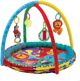 Playgro Εκπαιδευτικό χαλάκι με μπάλες (337457)