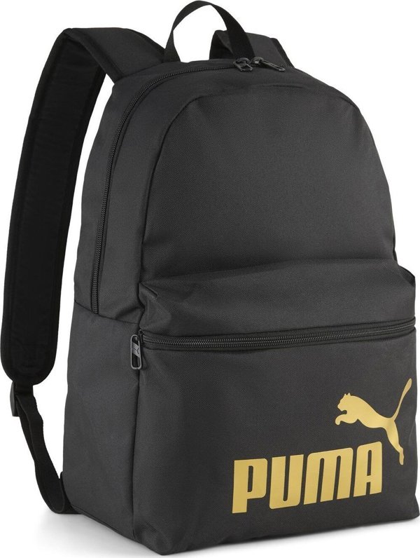 Pleack Puma Phase 091164-03
