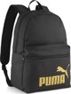 Pleack Puma Phase 091164-03
