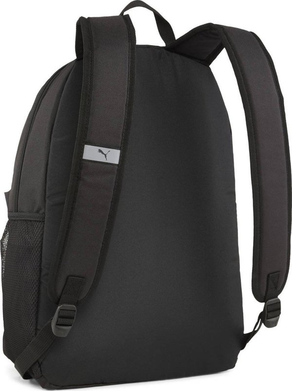 Pleack Puma Phase 091164-03