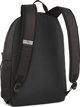 Pleack Puma Phase 091164-03