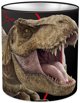 Θήκη για σχολικά είδη Jurassic