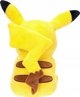 POKEMON ΛΟΥΤΡΙΝΟ 20 CM PIKACHU CDU 14252058 191726515302