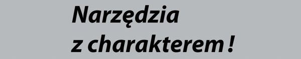 Επαγγελματικό σετ Proxxon για λείανση και στίλβωση