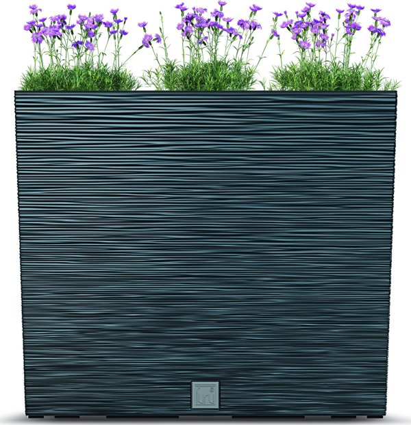 Θήκη Prosperplast Furu - ανθρακί (DFC600T-S433) 13062674 5905197458021