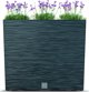 Θήκη Prosperplast Furu - ανθρακί (DFC600T-S433) 13062674 5905197458021