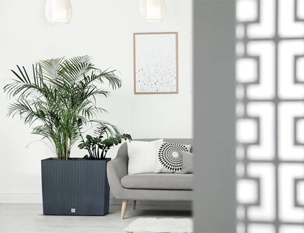 Prosperplast Γλάστρα Rato Case Tower DRC600T Πλαστική, Καφέ Umbra, 60cm
