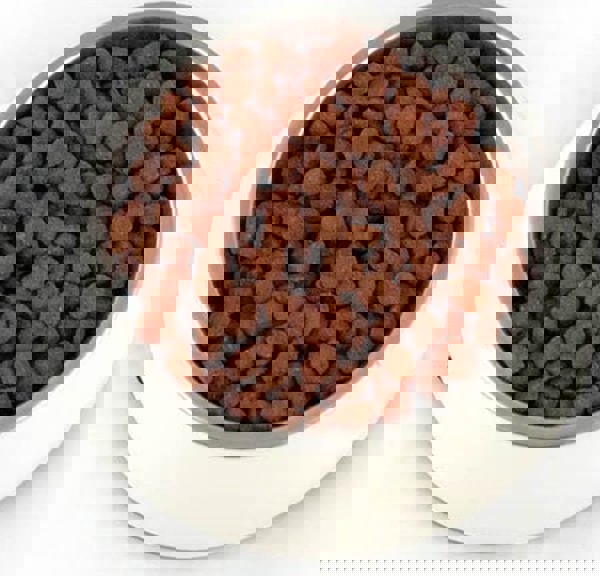 Pupil Premium Karma sucha dla psa PUPIL Premium M&L