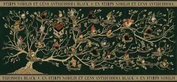 Παζλ 2D: Πανόραμα Harry Potter Rodowod 2000el