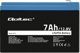 Qoltec Qoltec LiFePO4 Μπαταρία φωσφορικού σιδήρου λιθίου | 12,8V | 7 Αχ | 89,6 Wh | BMS 14117004 5901878537115