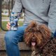 Quokka Quokka Boost Coffee Tumbler - Θερμική κούπα από ανοξείδωτο ατσάλι με ενσωματωμένο φίλτρο 400 ml (Abstract)