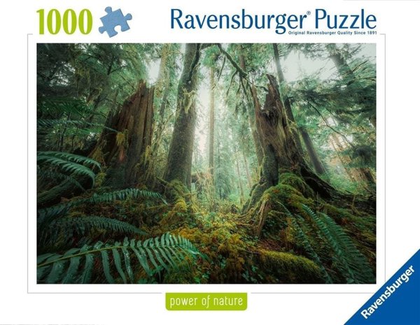Ravensburger Παζλ 1000 Κομμάτια
